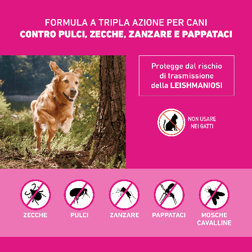 img-90efdeca-da71-4b77-86cc-07fb5a2e1ef0.png