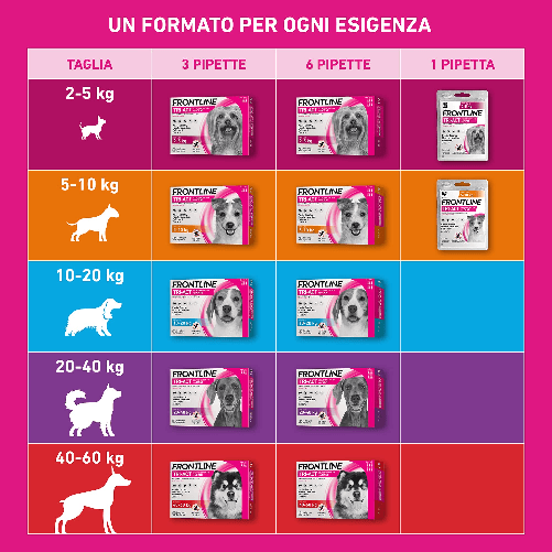 img-646733bd-d9be-4300-90f8-e994ac2f13da.png