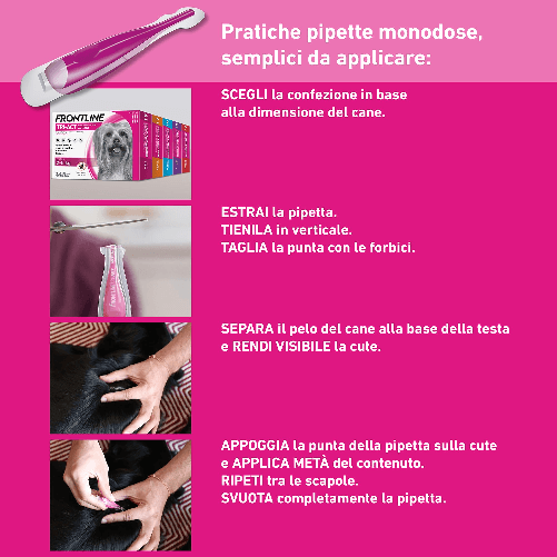 img-24f3f749-2a56-40a2-b290-b61777de44c2.png