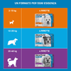 img-4f4341d1-7b00-419b-bbbd-7dc552ba3b86.png