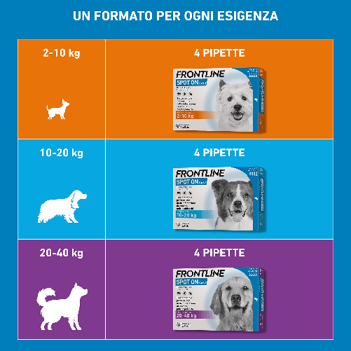 img-4f4341d1-7b00-419b-bbbd-7dc552ba3b86.png