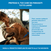 img-f7659295-5034-4aad-a212-e5cffe03c922.png
