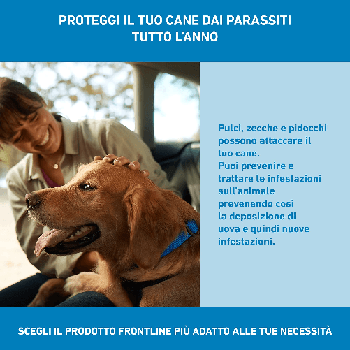 img-f7659295-5034-4aad-a212-e5cffe03c922.png