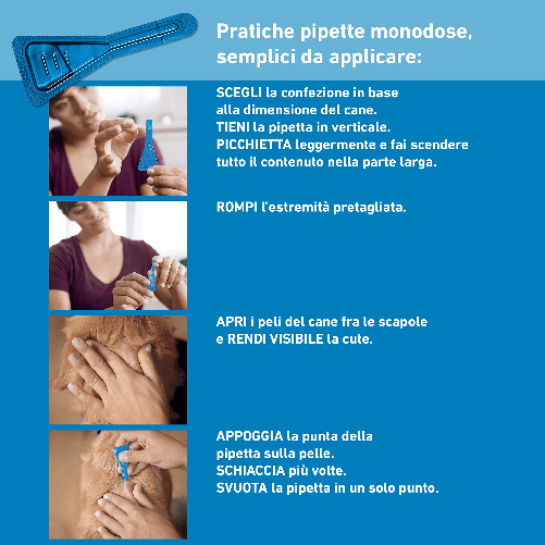 img-72efd376-246d-4c62-90a3-3ed579da7779.png