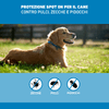 img-493b4b82-c96d-4921-932d-8903e649a5df.png