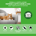 FRONTLINE-Combo-3-Pipette-Antiparassitario-per-Gatti-Gattini-e-Furetti-di-Lunga-Durata-Protegge-da-Pulci-Zecche-Uova-Larve-e-Anche-la-Casa-Antipulci-In-Confezione-da-3-Pipette-da-0.5-ml