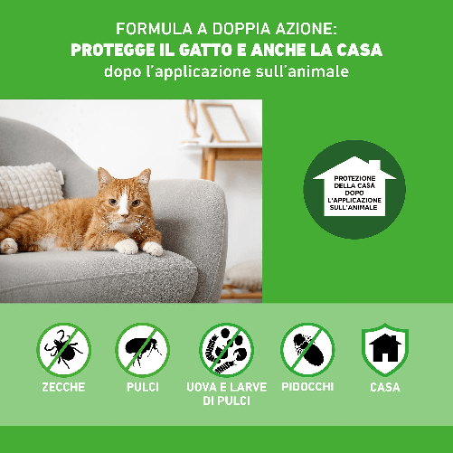 FRONTLINE-Combo-3-Pipette-Antiparassitario-per-Gatti-Gattini-e-Furetti-di-Lunga-Durata-Protegge-da-Pulci-Zecche-Uova-Larve-e-Anche-la-Casa-Antipulci-In-Confezione-da-3-Pipette-da-0.5-ml