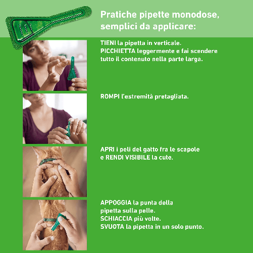 FRONTLINE-Combo-3-Pipette-Antiparassitario-per-Gatti-Gattini-e-Furetti-di-Lunga-Durata-Protegge-da-Pulci-Zecche-Uova-Larve-e-Anche-la-Casa-Antipulci-In-Confezione-da-3-Pipette-da-0.5-ml