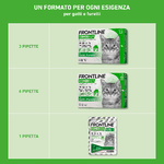 FRONTLINE-Combo-3-Pipette-Antiparassitario-per-Gatti-Gattini-e-Furetti-di-Lunga-Durata-Protegge-da-Pulci-Zecche-Uova-Larve-e-Anche-la-Casa-Antipulci-In-Confezione-da-3-Pipette-da-0.5-ml