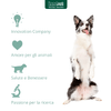 img-d759f28f-3206-4589-b0f2-416c582bc0c8.png