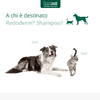 img-cfd98476-bcfc-4b07-b14c-62e89fdcb517.png
