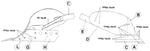 img-a0824244-33f5-45fe-a130-2f22be694caa.png