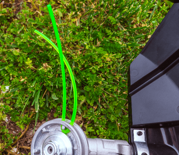 img-93aae4a1-5078-4627-a6c1-ab3017856de7.png