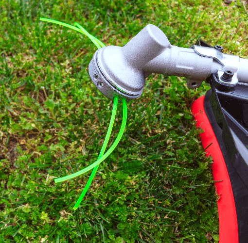 img-c3d51e06-e004-4d22-a794-82335712e224.png