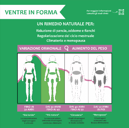 VENTRE-IN-FORMA---Benessere-Donna-Riequilibratore-ormonale-Drenante---Faseolamina-Finocchio-Agnocasto-Cimicifuga-Dioscorea-e-Equiseto---Ad-alto-dosaggio---60-Capsule.