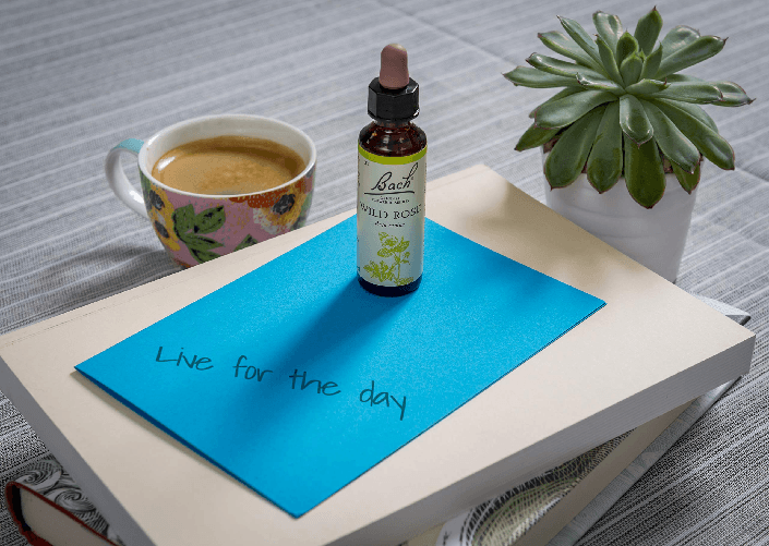 image-7101810db01f4f1cbef3b98426c839db