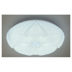img-2c386f41-2705-4a92-8694-b038fe7afbe9.png