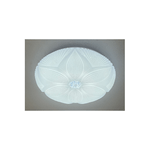 img-1d95e911-1aac-4728-9aad-26c73c77602d.png