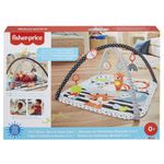 Fisher-Price-HBP41-palestra-per-bambino-e-tappeto-di-gioco-Multicolore-Palestrina-a-tappeto-per-bambino