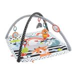 Fisher-Price-HBP41-palestra-per-bambino-e-tappeto-di-gioco-Multicolore-Palestrina-a-tappeto-per-bambino