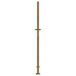 img-375f656d-ba64-450e-a02c-a3397c3eaf9d.png