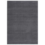 vidaXL Tappeto Soffice Pelo Corto 160x230 cm Antiscivolo Antracite