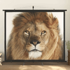 img-75eaaae3-b7d8-45e9-ae53-b550e60b2506.png