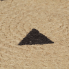 img-df2e7425-d65c-4d1a-a058-a1369ac12d76.png