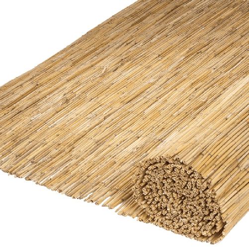 img-87cfd913-c6ef-46d5-9ce9-90898d03e7e9.png