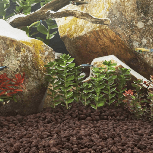 img-8af53984-3a31-4128-9610-02d96ab011d4.png