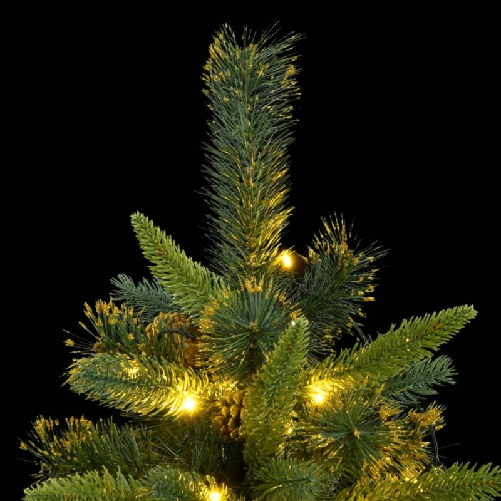 img-d7031c98-6779-40d0-9548-cc6812ede153.png