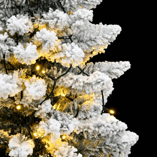img-5457583f-3d5c-4420-aab6-233bc47937b2.png