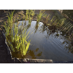 img-e4866c71-0512-4105-916f-c9ce5088597a.png