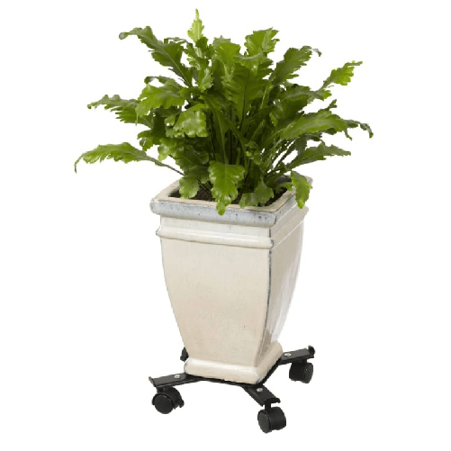 img-31acd10e-643c-4e93-8431-747aea17fbaa.png