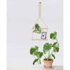 img-5bf46163-8c19-4321-8344-70581fb2a96b.png