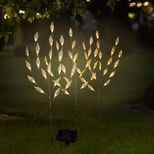 img-014d904a-e669-415b-a6e8-8b6c567f8497.png