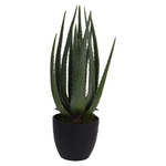 img-1d4d816d-50f4-4b7a-83ca-c083fd045456.png