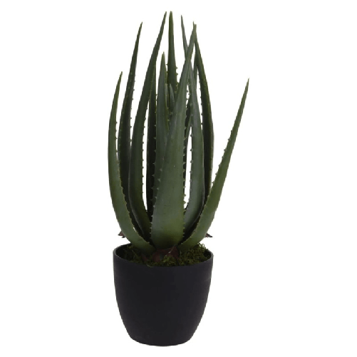 img-1d4d816d-50f4-4b7a-83ca-c083fd045456.png