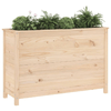 img-ce9e8770-e4cb-45a0-b608-2255d1115e70.png