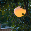 img-8ea39f7c-ad86-4ca6-9087-6626d0d2441b.png