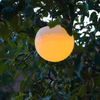 img-6e7e9fec-70ae-409d-ad7a-15e4bfbe36f1.png