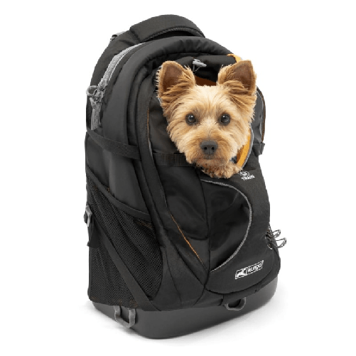 img-01b1444f-8d0b-4547-83c7-b699b3d8bbc2.png