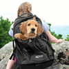 img-7f358d79-c663-4445-8f61-c7b06d11d513.png