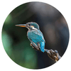 img-60cc99c8-a5e3-467d-98a2-63008b34c0c4.png