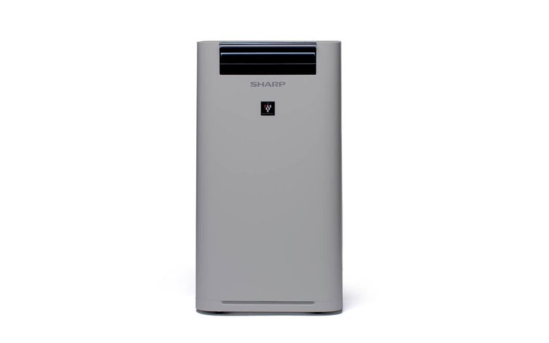 Sharp-Home-Appliances-UA-HG40E-L-purificatore-26-m²-43-dB-24-W-Grigio