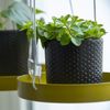Esschert-Design-Vassoio-Sospeso-per-Piante-Rotondo-Dorato-S
