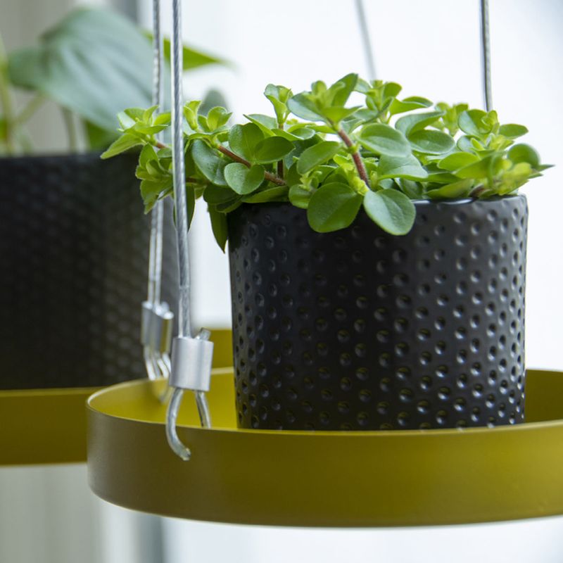 Esschert-Design-Vassoio-Sospeso-per-Piante-Rotondo-Dorato-S