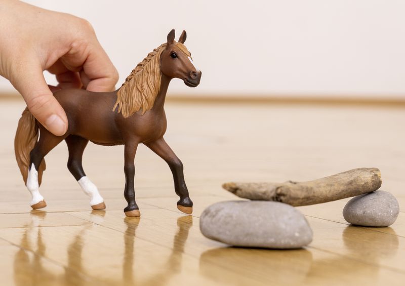 schleich-HORSE-CLUB-13953-action-figure-giocattolo