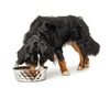 img-5464eb48-9352-439b-8de3-5fc8f54b80cb.png