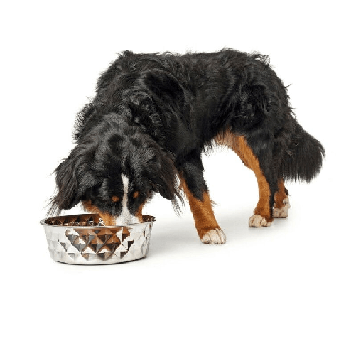 img-5464eb48-9352-439b-8de3-5fc8f54b80cb.png